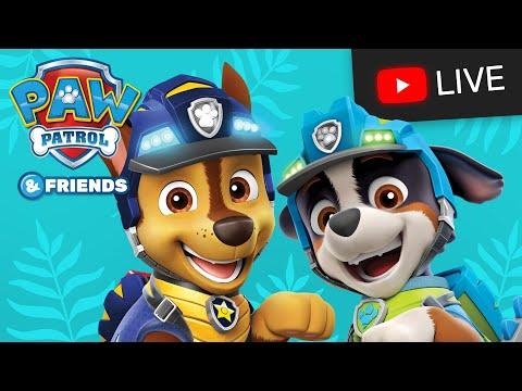 🔴 PAW Patrol Dino Rescue with Rex and more Dino Wilds Episodes Live Stream! | Cartoons for Kids