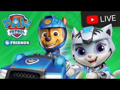 🔴 Cat Pack, and Ruff Ruff Pack Rescue Episodes | PAW Patrol Moto Pups Cartoons for Kids Live Stream